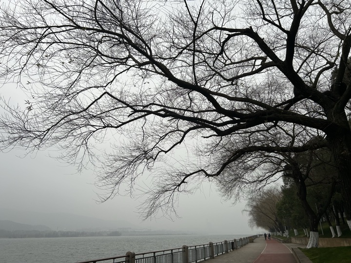 长沙旅行旅行照片 23