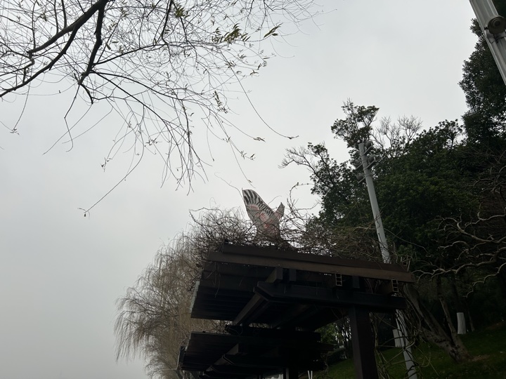 长沙旅行旅行照片 25