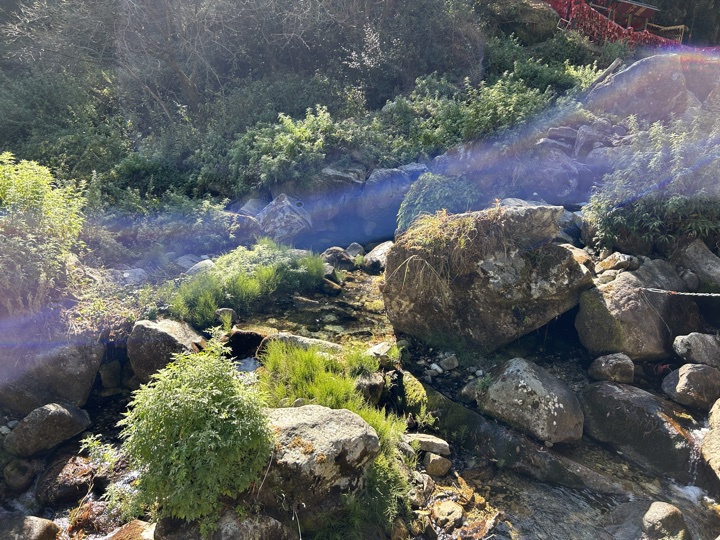 大理古城与苍山旅行旅行照片 16