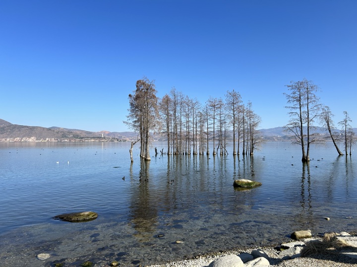 大理古城与洱海旅行旅行照片 5