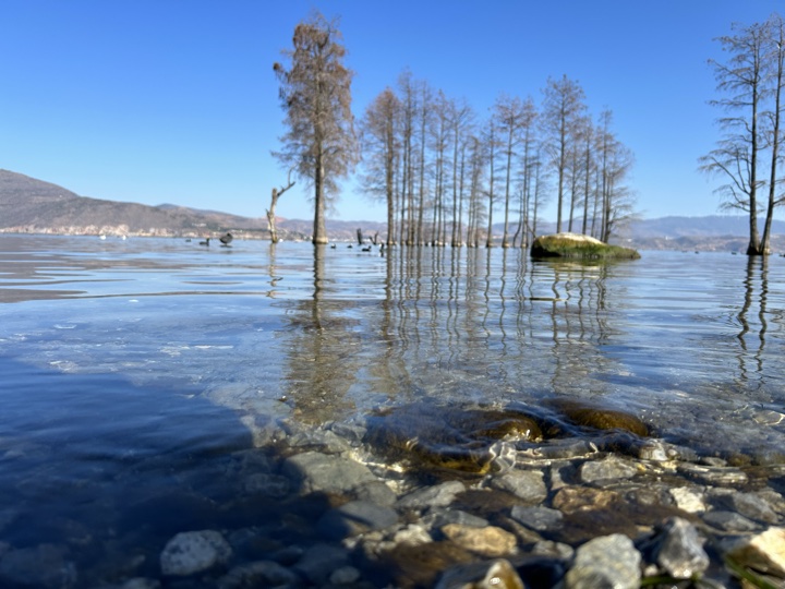 大理古城与洱海旅行旅行照片 7
