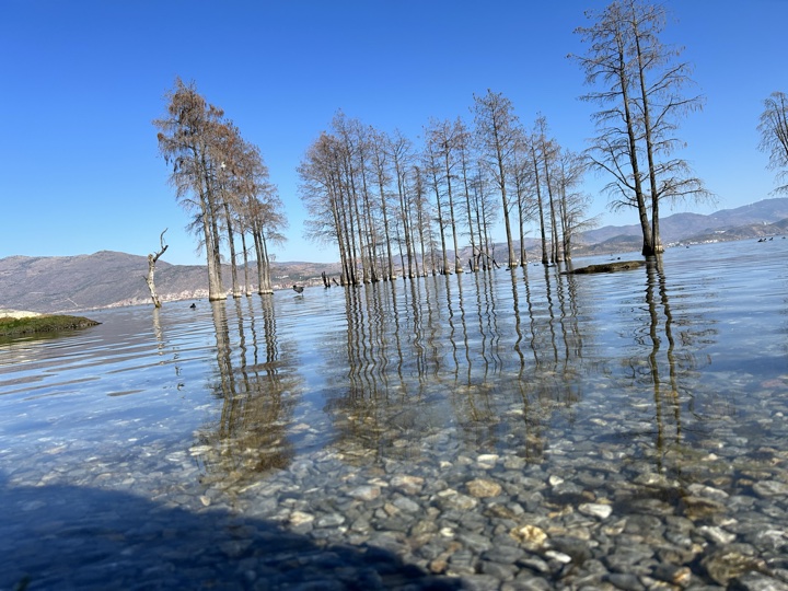 大理古城与洱海旅行旅行照片 8