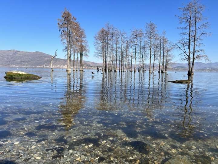 大理古城与洱海旅行旅行照片 9