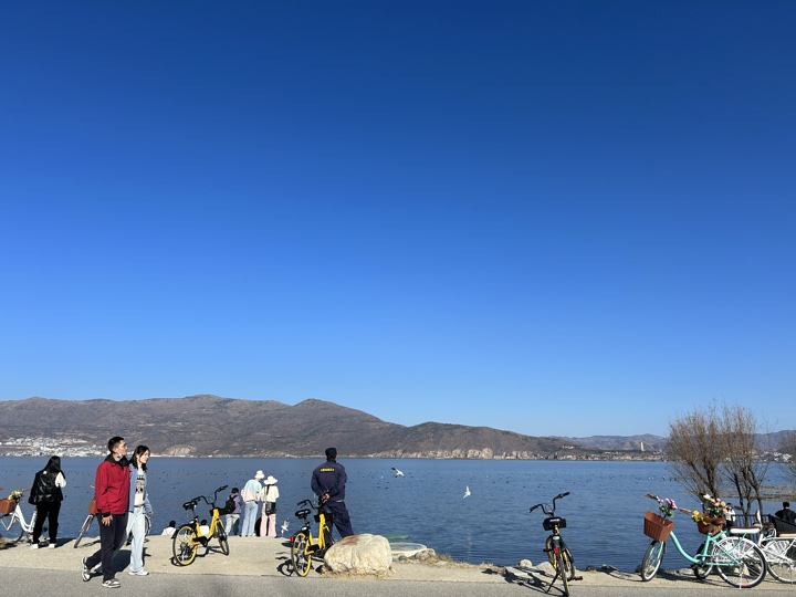 大理古城与洱海旅行旅行照片 14
