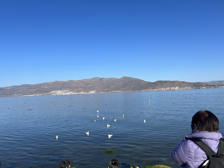 大理古城与洱海旅行旅行照片 15