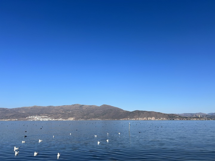 大理古城与洱海旅行旅行照片 16