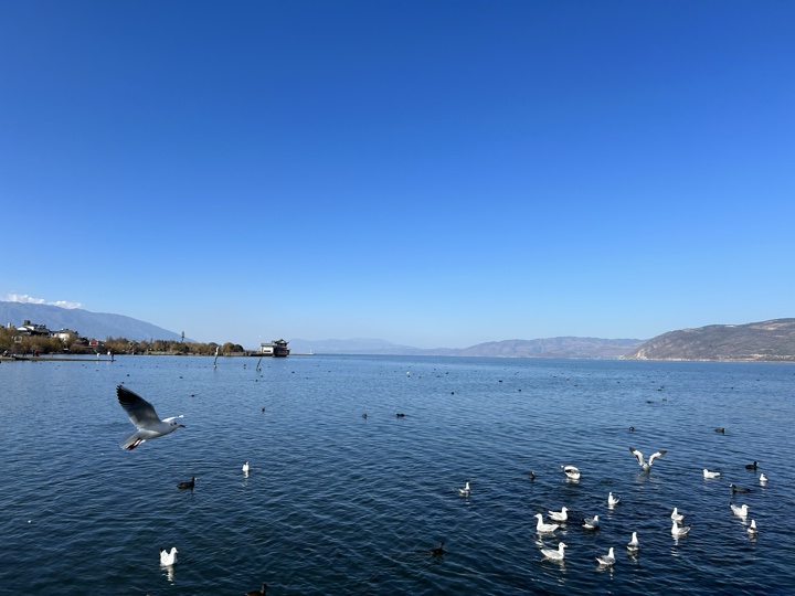 大理古城与洱海旅行旅行照片 17