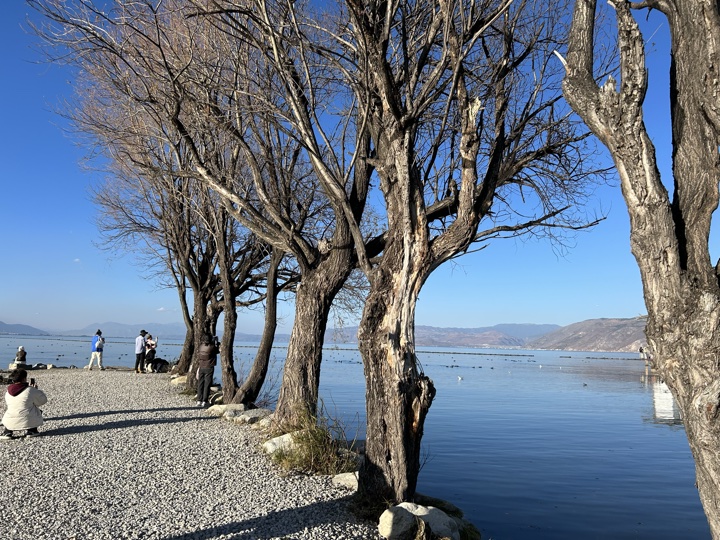 大理古城与洱海旅行旅行照片 27