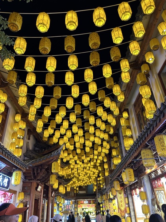 大理古城与洱海旅行旅行照片 43