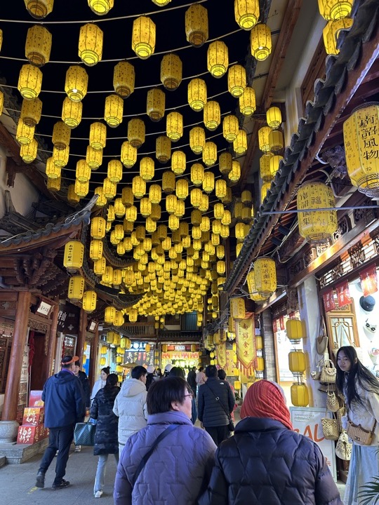 大理古城与洱海旅行旅行照片 44