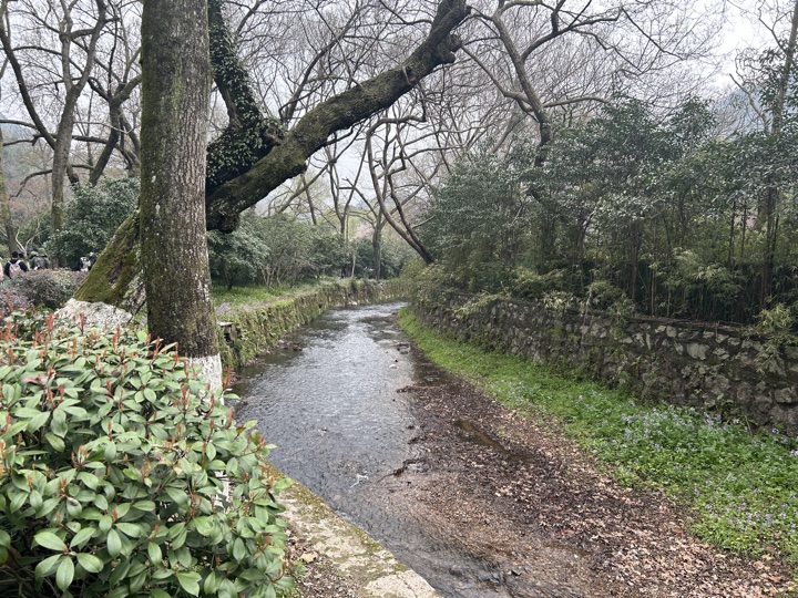【徒步| 杭州市西湖区九溪十八涧】西湖群山·九溪十八涧｜步入十里琅珰旅行照片 3