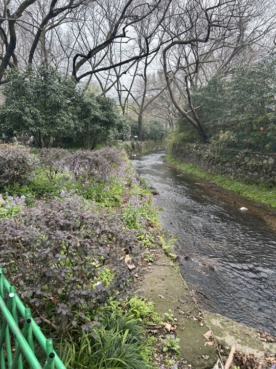【徒步| 杭州市西湖区九溪十八涧】西湖群山·九溪十八涧｜步入十里琅珰旅行照片 4
