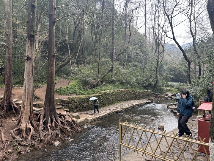 【徒步| 杭州市西湖区九溪十八涧】西湖群山·九溪十八涧｜步入十里琅珰旅行照片 6