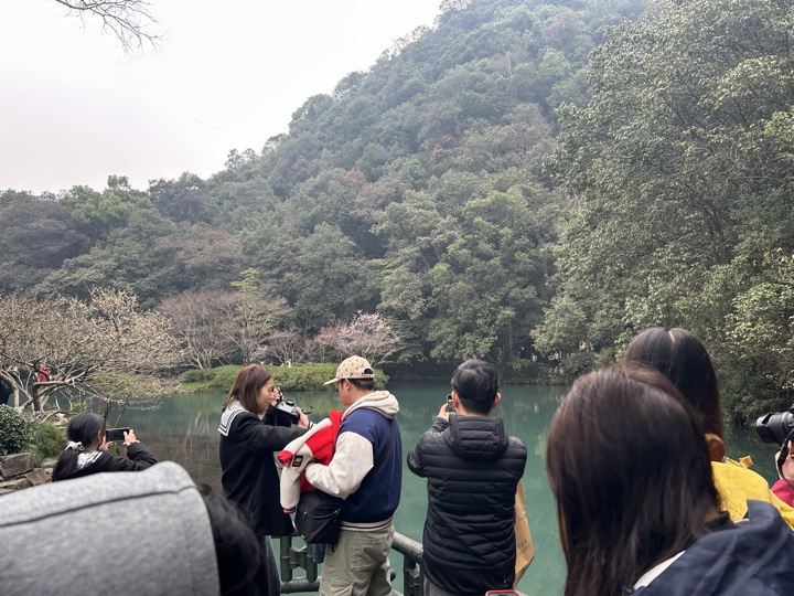 【徒步| 杭州市西湖区九溪十八涧】西湖群山·九溪十八涧｜步入十里琅珰旅行照片 7