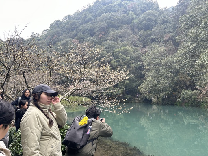 【徒步| 杭州市西湖区九溪十八涧】西湖群山·九溪十八涧｜步入十里琅珰旅行照片 8