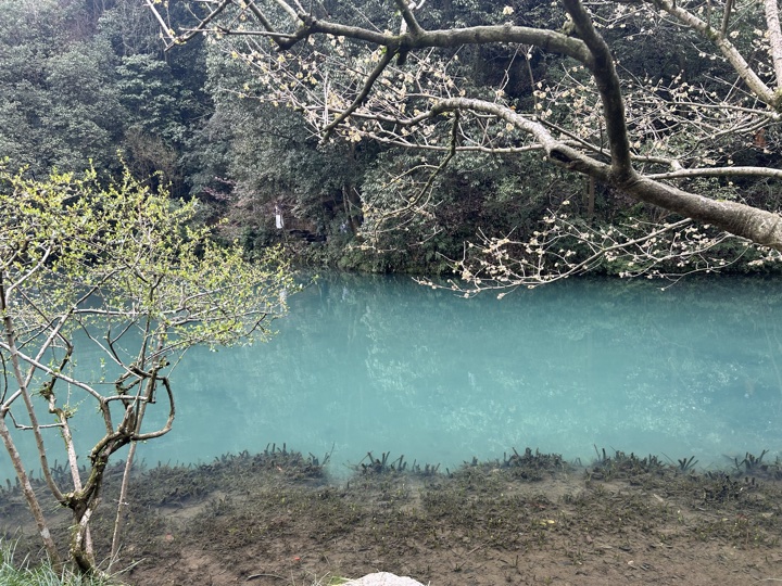 【徒步| 杭州市西湖区九溪十八涧】西湖群山·九溪十八涧｜步入十里琅珰旅行照片 9