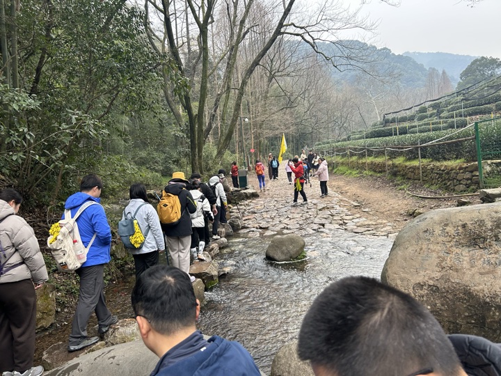 【徒步| 杭州市西湖区九溪十八涧】西湖群山·九溪十八涧｜步入十里琅珰旅行照片 12