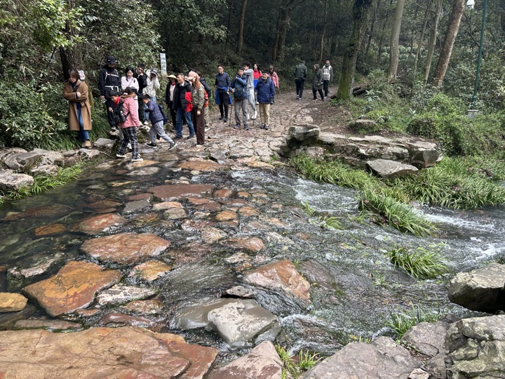 【徒步| 杭州市西湖区九溪十八涧】西湖群山·九溪十八涧｜步入十里琅珰旅行照片 14
