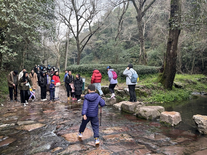 【徒步| 杭州市西湖区九溪十八涧】西湖群山·九溪十八涧｜步入十里琅珰旅行照片 15