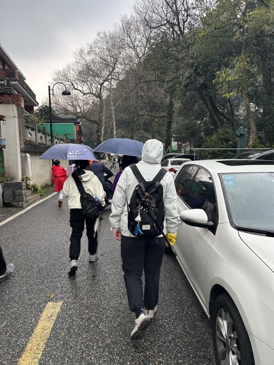 【徒步| 杭州市西湖区九溪十八涧】西湖群山·九溪十八涧｜步入十里琅珰旅行照片 16
