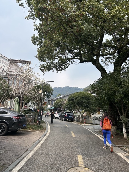 【徒步| 杭州市西湖区九溪十八涧】西湖群山·九溪十八涧｜步入十里琅珰旅行照片 17