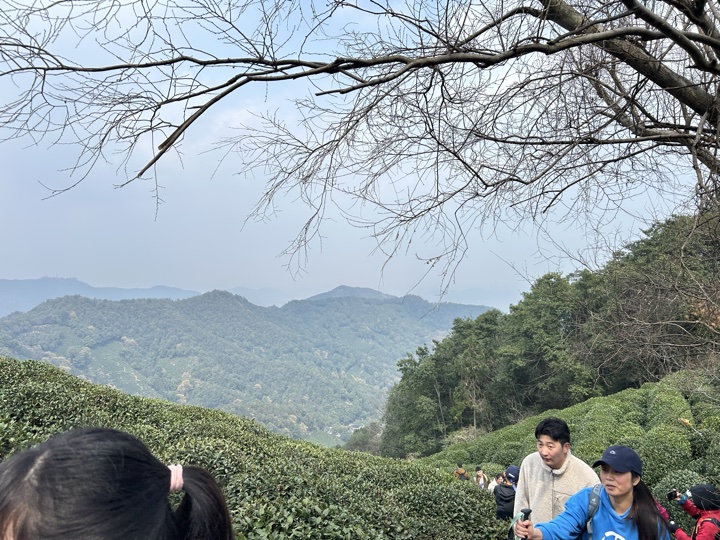 【徒步| 杭州市西湖区九溪十八涧】西湖群山·九溪十八涧｜步入十里琅珰旅行照片 21