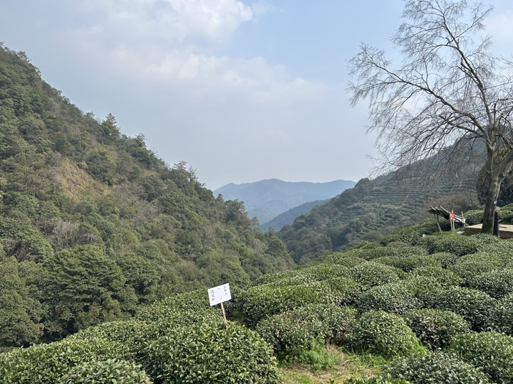 【徒步| 杭州市西湖区九溪十八涧】西湖群山·九溪十八涧｜步入十里琅珰旅行照片 23