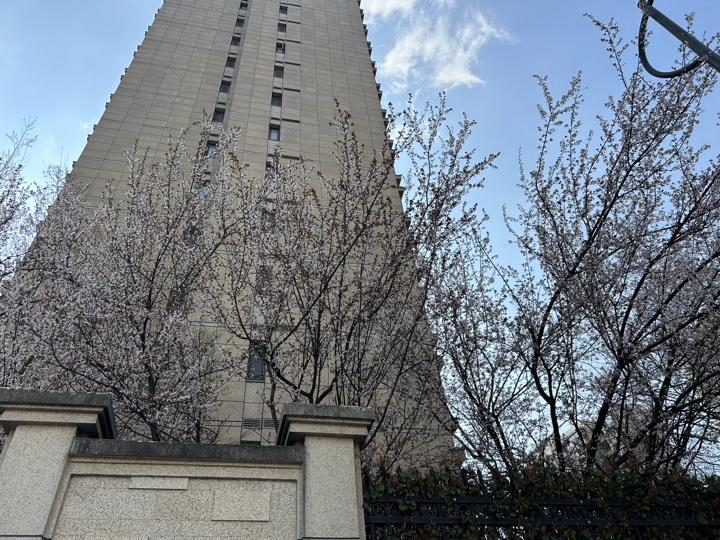 【徒步| 杭州市西湖区九溪十八涧】西湖群山·九溪十八涧｜步入十里琅珰旅行照片 30