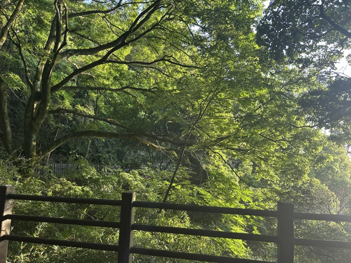 【徒步| 杭州市淳安县千岛湖】别致·千岛湖｜圆梦亲水帆船，假期限定轻奢旅行照片 6