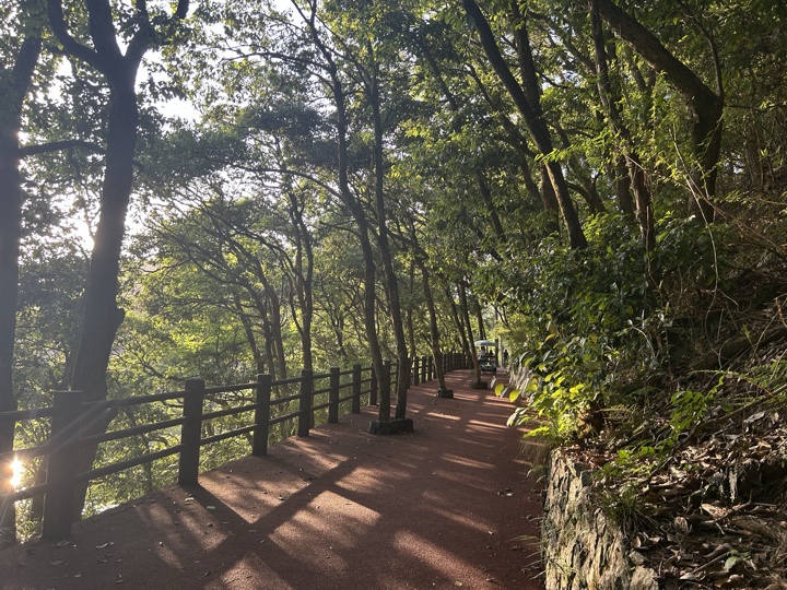 【徒步| 杭州市淳安县千岛湖】别致·千岛湖｜圆梦亲水帆船，假期限定轻奢旅行照片 7