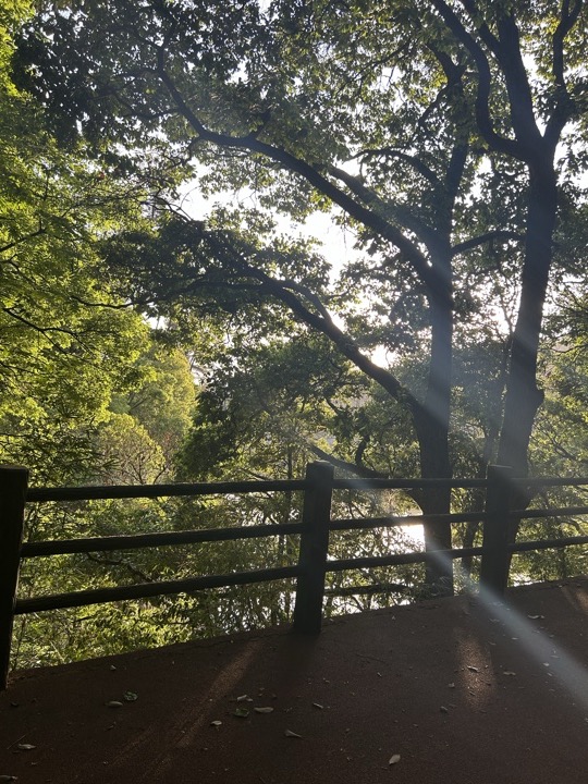 【徒步| 杭州市淳安县千岛湖】别致·千岛湖｜圆梦亲水帆船，假期限定轻奢旅行照片 8