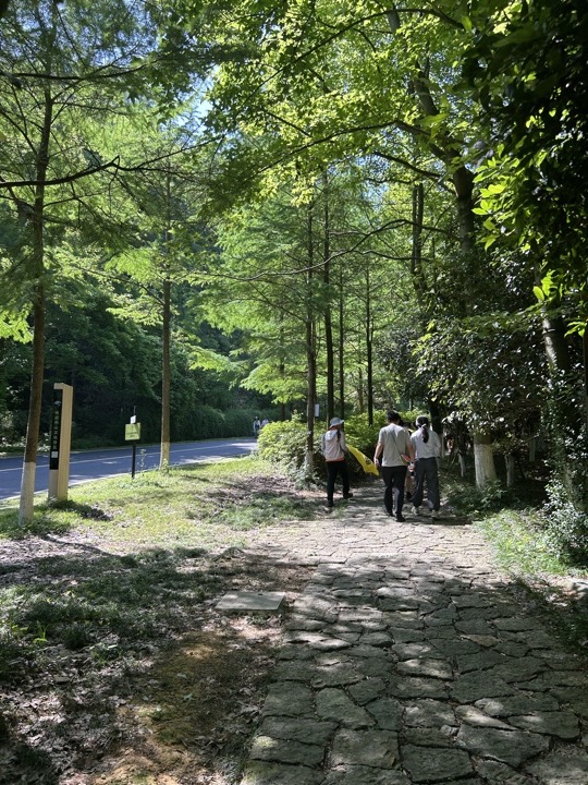 【徒步| 杭州市淳安县千岛湖】别致·千岛湖｜圆梦亲水帆船，假期限定轻奢旅行照片 18