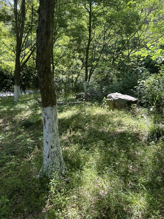 【徒步| 杭州市淳安县千岛湖】别致·千岛湖｜圆梦亲水帆船，假期限定轻奢旅行照片 21