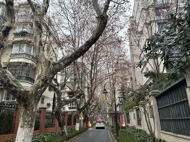 杭州返程旅行照片 5