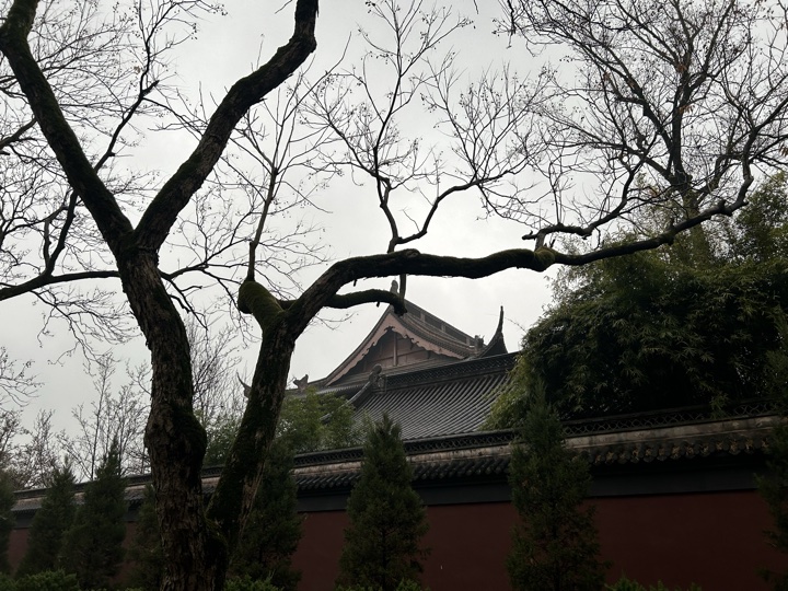 杭州返程旅行照片 7