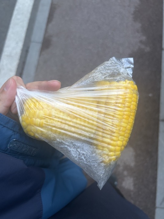 【徒步| 浙江省杭州市临安区天目山镇】天目秘境·大树王国｜步入天目避暑森林旅行照片 1