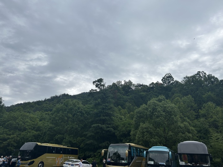 【徒步| 浙江省杭州市临安区天目山镇】天目秘境·大树王国｜步入天目避暑森林旅行照片 2