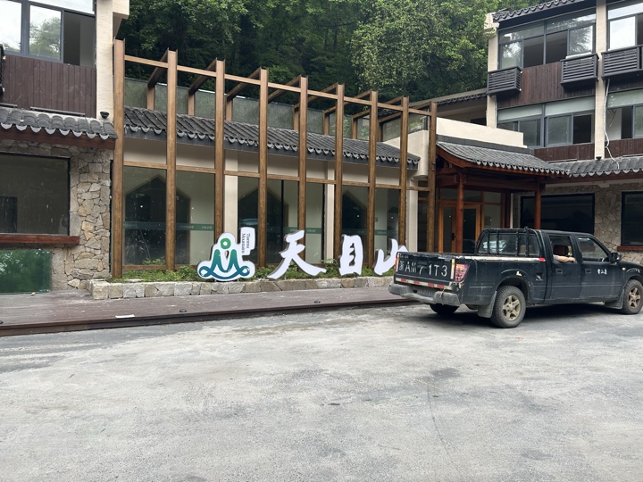 【徒步| 浙江省杭州市临安区天目山镇】天目秘境·大树王国｜步入天目避暑森林旅行照片 4
