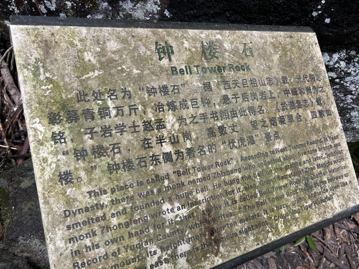 【徒步| 浙江省杭州市临安区天目山镇】天目秘境·大树王国｜步入天目避暑森林旅行照片 12