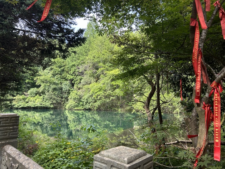 【徒步| 浙江省杭州市临安区天目山镇】天目秘境·大树王国｜步入天目避暑森林旅行照片 29