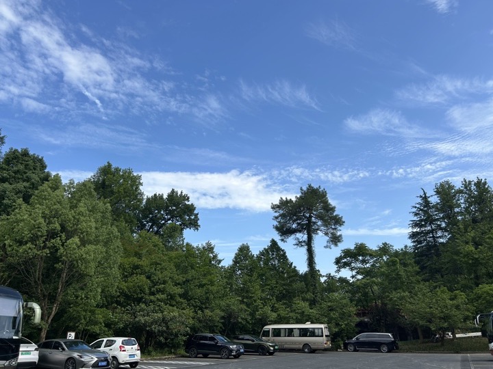 【徒步| 浙江省杭州市临安区天目山镇】天目秘境·大树王国｜步入天目避暑森林旅行照片 30