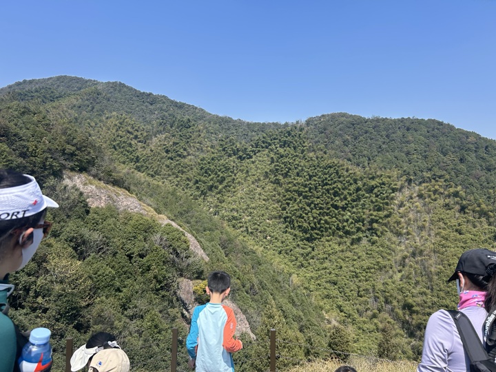 【徒步| 湖州市德清县莫干山】莫干山·葛岭仙境｜徒步原始森林，穿越山脊旅行照片 4