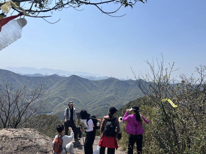 【徒步| 湖州市德清县莫干山】莫干山·葛岭仙境｜徒步原始森林，穿越山脊旅行照片 8