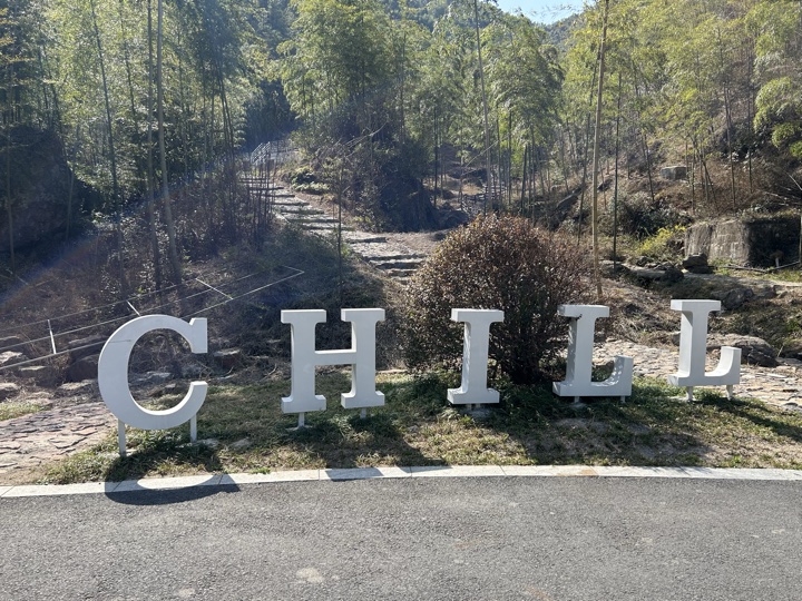 【徒步| 湖州市德清县莫干山】莫干山·葛岭仙境｜徒步原始森林，穿越山脊旅行照片 15