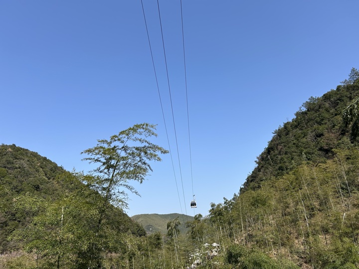 【徒步| 湖州市德清县莫干山】莫干山·葛岭仙境｜徒步原始森林，穿越山脊旅行照片 16