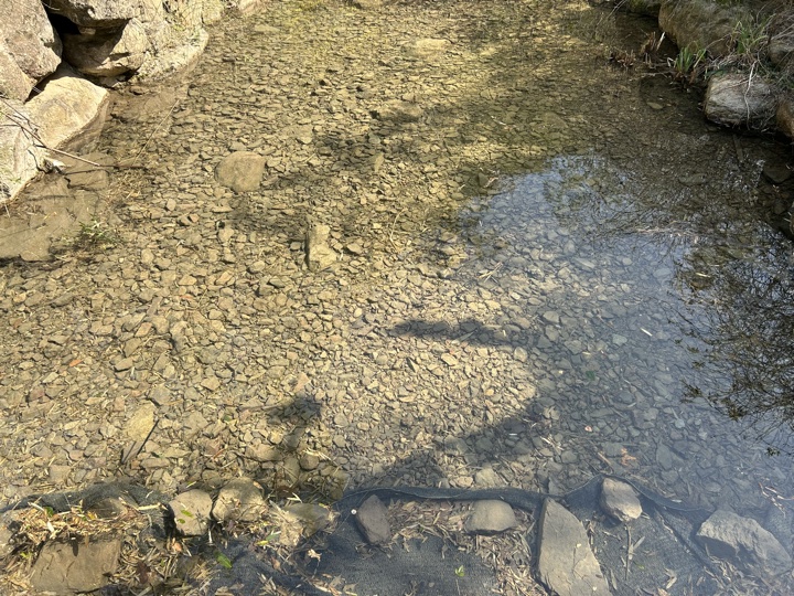 【徒步| 湖州市德清县莫干山】莫干山·葛岭仙境｜徒步原始森林，穿越山脊旅行照片 17