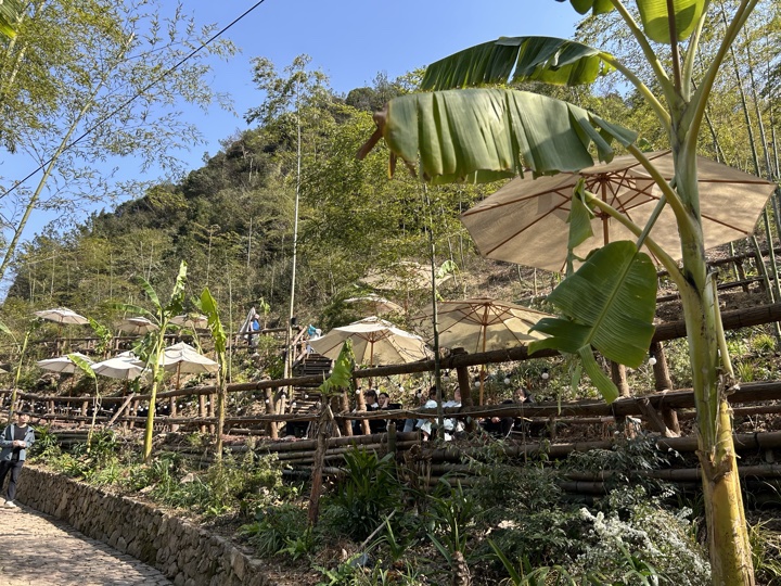 【徒步| 湖州市德清县莫干山】莫干山·葛岭仙境｜徒步原始森林，穿越山脊旅行照片 18