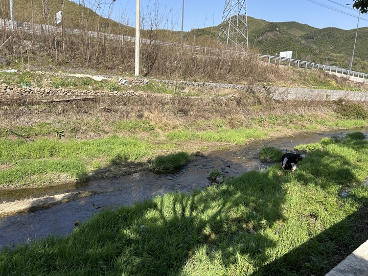【徒步| 湖州市德清县莫干山】莫干山·葛岭仙境｜徒步原始森林，穿越山脊旅行照片 22