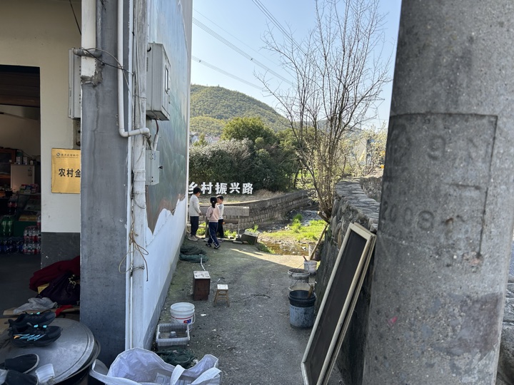 【徒步| 湖州市德清县莫干山】莫干山·葛岭仙境｜徒步原始森林，穿越山脊旅行照片 25