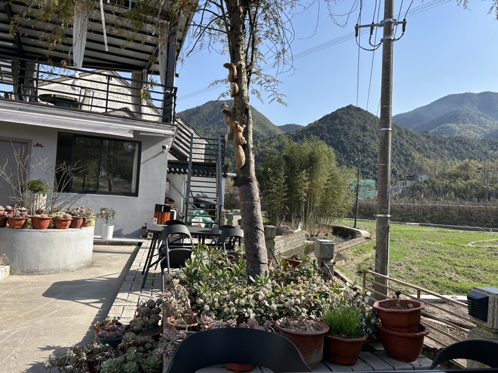 【徒步| 湖州市德清县莫干山】莫干山·葛岭仙境｜徒步原始森林，穿越山脊旅行照片 27